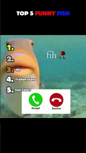 Top 5 Fish Memes That Are WAY Too Funny 🐟😂