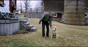 Amazon.com: SportDOG YardTrainer Family Remote Trainers - Submersible, Waterproof & Rechargeable On-The-Go Remote Transmitter Trainer - 300-Yard Range for Long-Distance Control : Pet Supplies