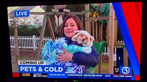 9.5K views · 994 reactions | Hart is officially a TV star!! She helped mommy out live on WFSB - Channel 3 Eyewitness News Story about pets & cold weather safety  略 | Jill Gilardi | Facebook