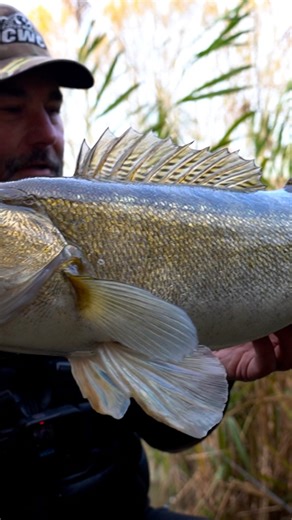 2.6K views · 43 reactions | Time for a new episode of Zander Pro 5 Team CWC is in second place after the first day of fishing, and now it’s time for shore fishing. Check out Episode 3 on YouTube tonight at 19:00️ Let’s do this! 爛 @evert_cwc @lex_cwc #catchwithcare #zanderpro | Catch With Care | Facebook