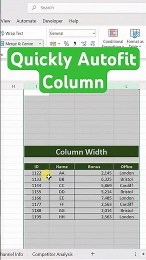 Excel Autosize Row Height and Column Width