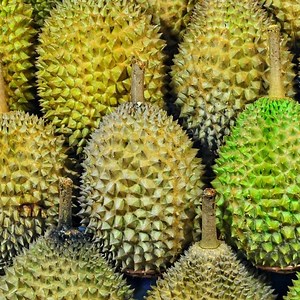 Jackfruit vs durian: How to tell the difference between these tropical fruits