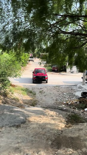 Chinese TRX: Remote Control Action of a Viral RCTruck