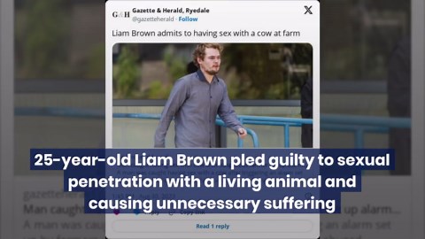 UK Man Pleads Guilty To Having Sex With A Cow