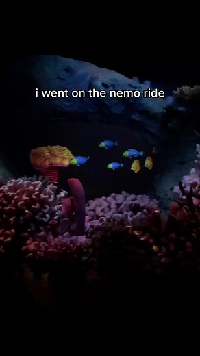 I WENT ON THE FISH RIDE!