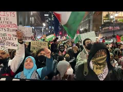 Pro Palestine Protesters Pounding on Grand Central Station Locked Doors, Smash Glass - NYC