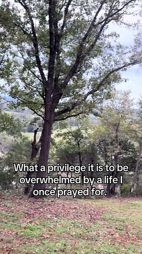 Dalton12 (@dalton_mccrary)’s videos with Relaxing Music - kucing tetangga