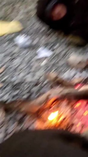 Explore Global Trends with FUP