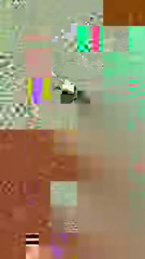 The Southern Pride has new members!⁠ This incredible story of the Southern Pride has kept us on the edge of our seats over the last couple of years. From nearly dwindling to only one adult lioness, they have now added yet another set of cubs to the pride with one of the younger lionesses giving birth to three little ones. This is incredible news for the Southern Pride, and we can't wait to see how their story unfolds in the coming months!⁠ 📹 Field Guide Ozayr Karodia 📍 Lion Sands part of MORE 