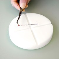 MTS™ Synergy Application System