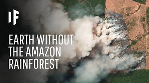 Imagining Earth without the Amazon rainforest