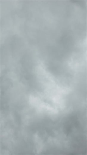 Found a legendary E46 M3 at an auction! 🏎️ Rear-end damage, but still a gem. Is it worth fixing? 🤔💬 #E46M3 #E46 #BMWLife #M3E46 #BMWGram #CarAuction #BMWEnthusiast #E46Fanatics #S54Engine #BMWNation #UltimateDrivingMachine #CarRestoration #CarSpotting #CarCommunity #DreamCar