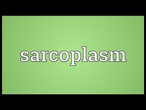 Sarcoplasm Meaning