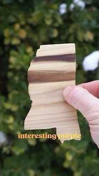 Making Mississippi out of Magnolia Wood | Official State Tree Map #shorts #trees #wood