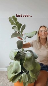 122K views · 129 reactions | ✂️ last year I chopped the ‘death bloom’...