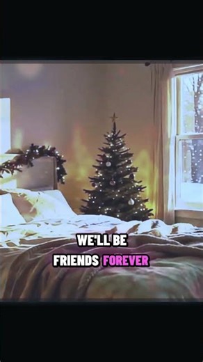 Emotional Meaning Behind the Pigeon Lady – Home Alone 2