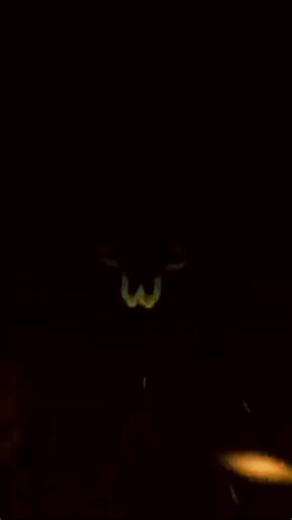 Neymar Jr 10 (@.yasin.amin.123)’s videos with original sound - THE WISDOM MAN😎