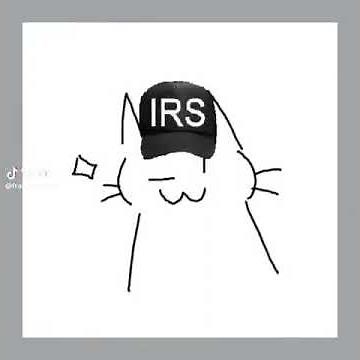 irs tax time how much secret why just guess 600 dollars? jail :( meme short ---- drawn cat variation
