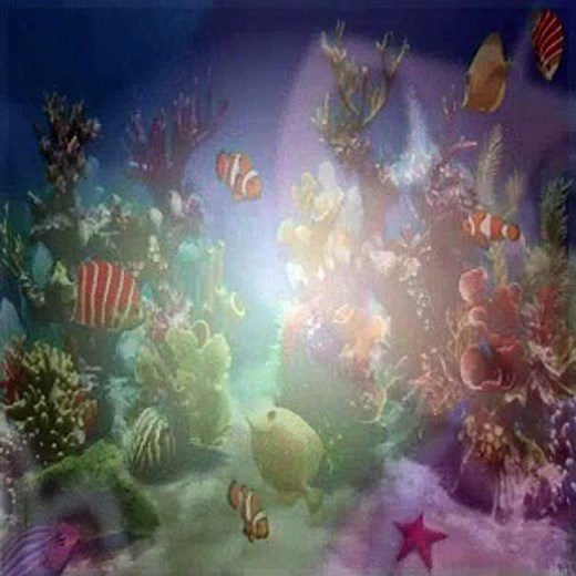 Dora The Explorer S01E04 Beaches