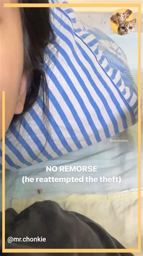 He looked so pissed 💀 | Animals Lovers