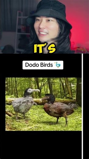 How Animals Became EXTINCT