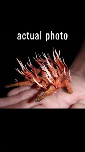 Scientists just found ZOMBIE BUGS 😨