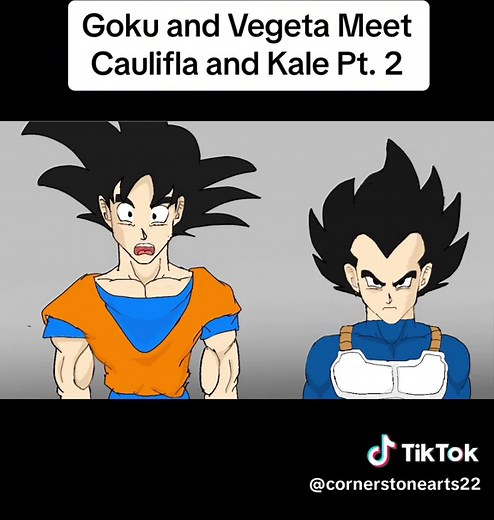 Goku and Vegeta Encounter Caulifla and Kale in Part 2