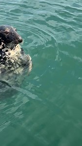 4.3K views · 33 reactions | Learn more about our mussel supplier -...