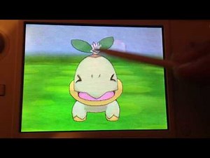 Pokemon Amie - Turtwig