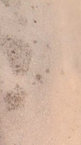 Behind the scenes 🎬 | Divine stories