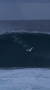Nature is incredible 😍 | Orange Rocks Ocean Photography