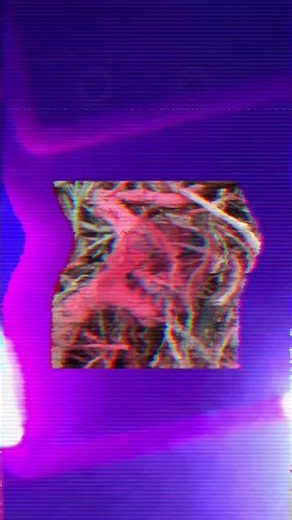 Back in tha House 🔊 House Music Banger 2025 🎶 (Frank Wizardd)