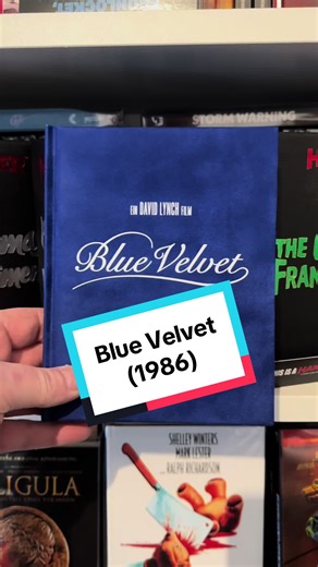 Blue Velvet – Ein düsterer Thriller von David Lynch