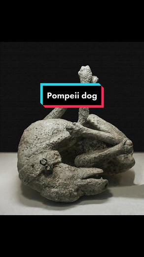 Tragic Pompeii: Uncovering Ancient Roman History