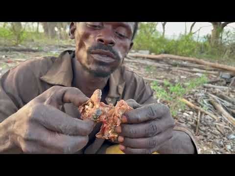 Ultimate Guinea Fowl Hunting Techniques