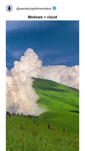 Medows + cloud