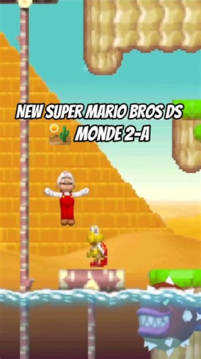 🏜️ Monde 2-A | New Super Mario Bros. DS