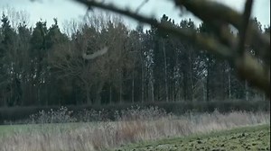 فیلم بیگانه ۲۰۱۷ (The Foreigner 2017)