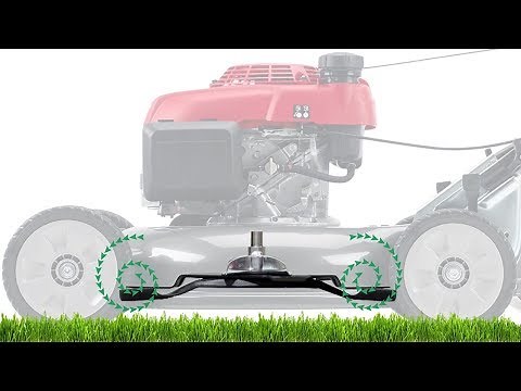Lawn Mower Cut Quality: Mulching
