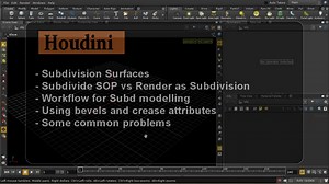 Basics: Subdivision Houdini 12