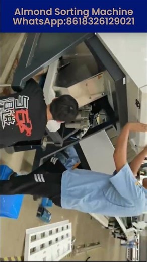 Almond Sorting Machine #almond #colorsorter #agritech #nutsortsolution #nutssort WA:8618326129021