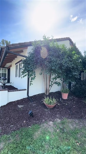 Quality Painting Services by GPro Painting Inc