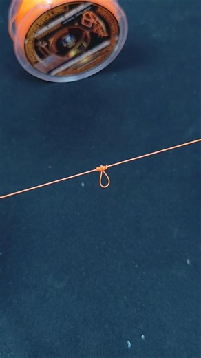 This Dropper Loop Is Easier Than You Think (Perfect for Rigs) #fishing #fishingknot