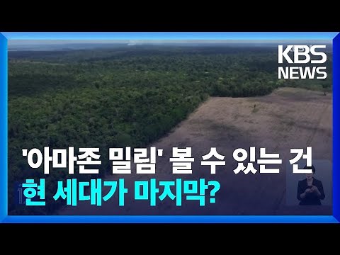 ‘아마존 밀림’ 볼 수 있는 건 현 세대가 마지막? [기후는 말한다] / KBS 2023.06.29.
