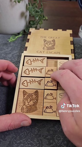 Great Cat Escape Puzzle - Can You Help the Cat Escape?
