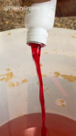Deworming 🪱 Liquid for Poultry Chicken