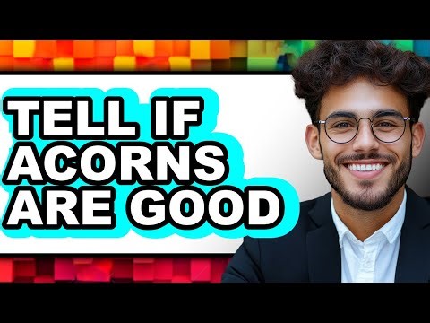 How To Tell If Acorns Are Good - Easy Guide