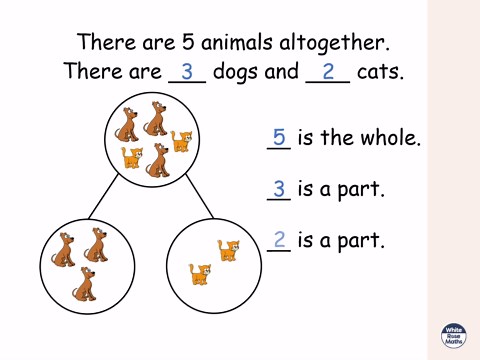 Y1 Autumn Block 2 TS2 Part-whole model