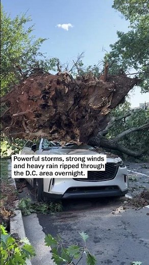 Storm lights up skies in DMV causing damage overnight