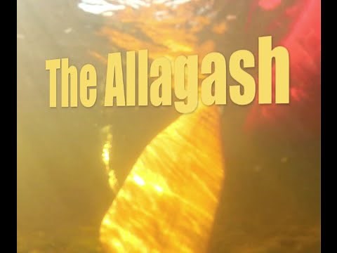 Canoeing Maine's Allagash with Gil Gilpatrick